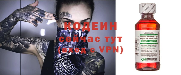 молекула духа Арсеньев