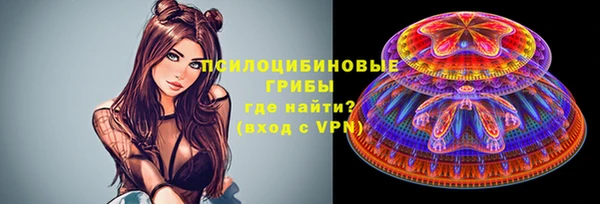 Альфа ПВП Аркадак