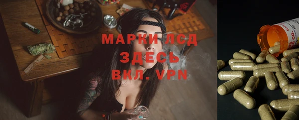 ECSTASY Армянск