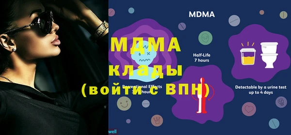 молекула духа Арсеньев