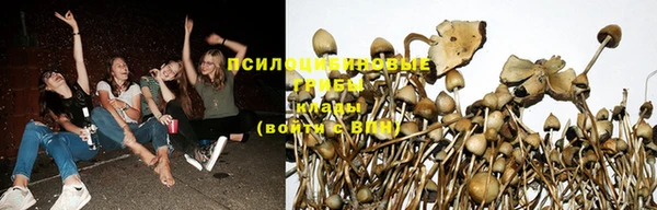 тгк Осташков