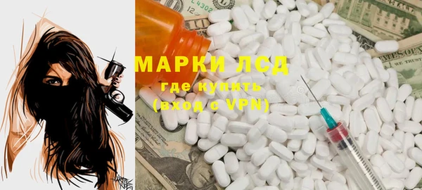 молекула духа Арсеньев
