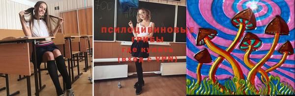 ГАЛЛЮЦИНОГЕННЫЕ ГРИБЫ Осинники