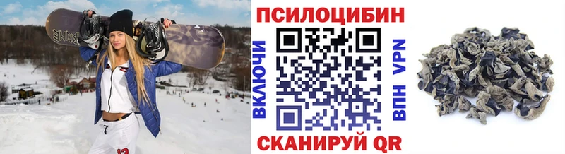 Псилоцибиновые грибы Psilocybe Будённовск
